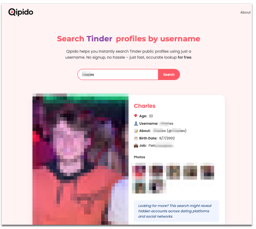 Qipido search example